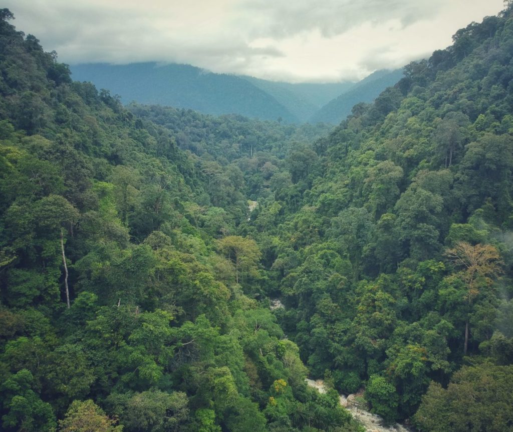 Ketambe | Ein Besuch bei den Orang Utans auf Sumatra Ketambe | Ein Besuch bei den Orang Utans auf Sumatra