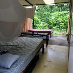 Zimmer im Bolita Rainforest