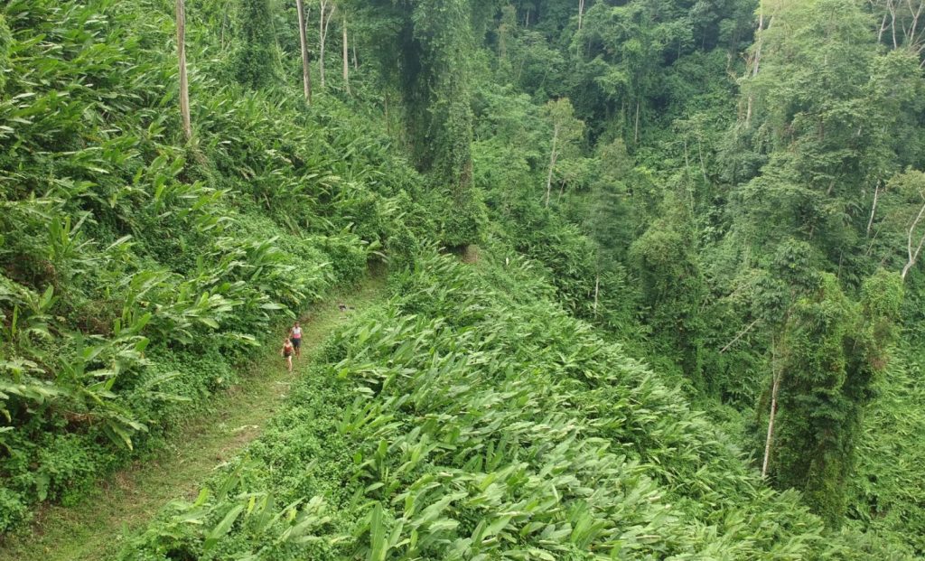 Corcovado National Park On A Budget Corcovado National Park On A Budget