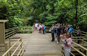 Manuel Antonio Costa Rica | Unsere 6 Tipps & Erfahrungen Manuel Antonio Costa Rica | Unsere 6 Tipps & Erfahrungen