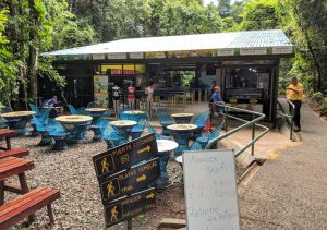 Manuel Antonio Costa Rica | Unsere 6 Tipps & Erfahrungen Manuel Antonio Costa Rica | Unsere 6 Tipps & Erfahrungen