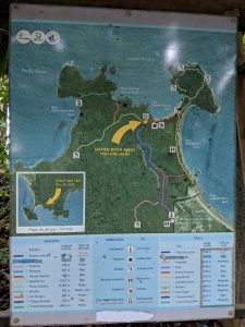 Manuel Antonio Costa Rica | Unsere 6 Tipps & Erfahrungen Manuel Antonio Costa Rica | Unsere 6 Tipps & Erfahrungen