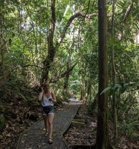 The Best Things To Do in Manuel Antonio The Best Things To Do in Manuel Antonio
