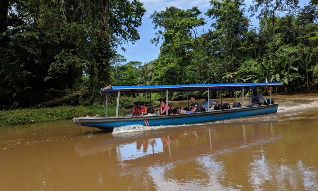 Tortuguero Nationalpark Costa Rica | Anreise, Highlights & Schildkrötensaison Tortuguero Nationalpark Costa Rica | Anreise, Highlights & Schildkrötensaison