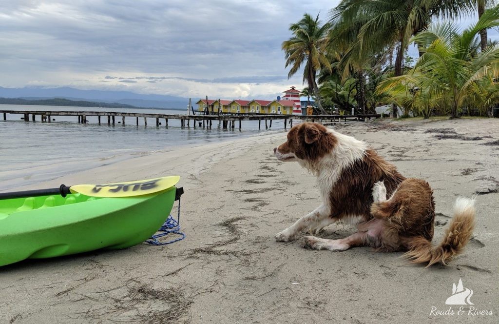 The Islands Of Bocas del Toro Panama - Travel Guide The Islands Of Bocas del Toro Panama - Travel Guide