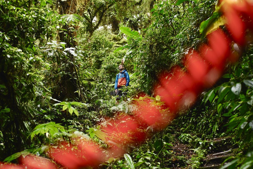 Santa Elena Nationalpark, Monteverde