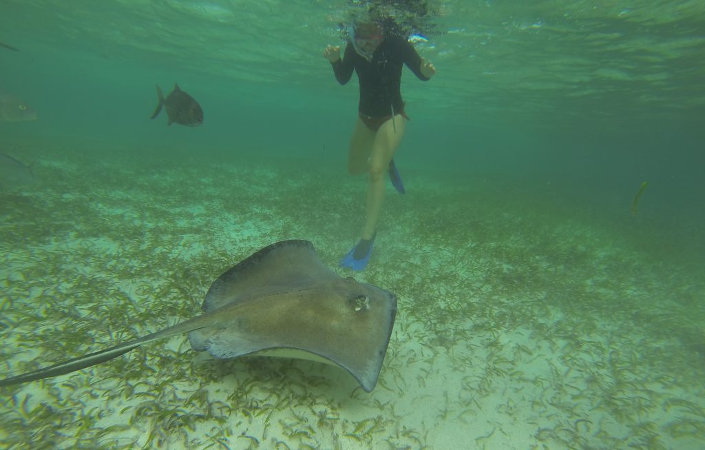 Caye Caulker | 5 Tipps zur Trauminsel in Belize Shark Ray Alley, Caye Caulker, Belize