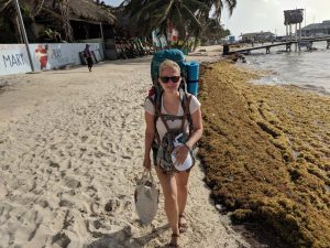 Algenproblem auf Caye Ambergris