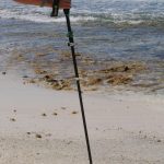 Packliste Wanderstock