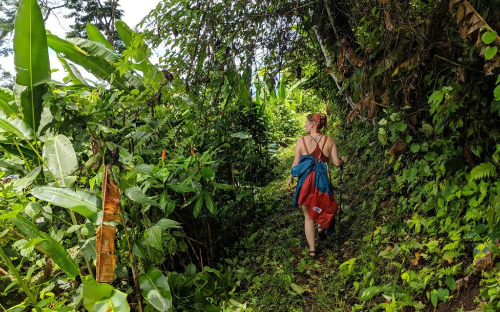 Corcovado National Park On A Budget Bolita Rainforest, Corcovado Nationalpark