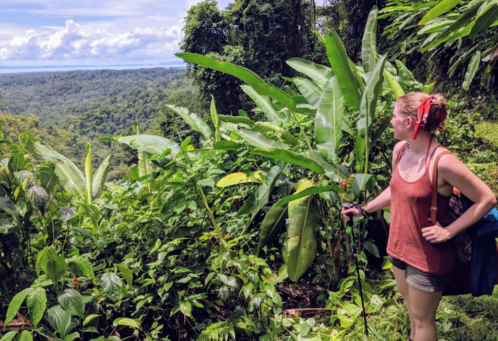Corcovado National Park On A Budget Bolita Rainforest, Corcovado Nationalpark