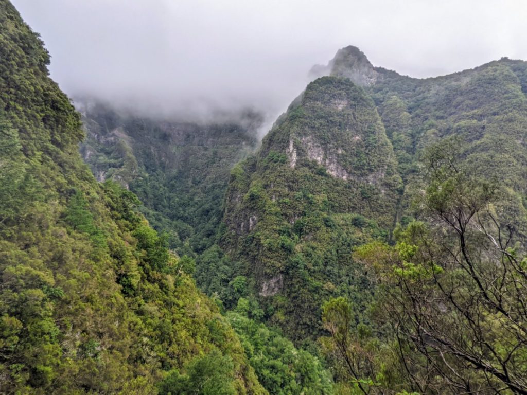Levada do Caldeirão Verde (PR9) I Tipps für Eure Madeira-Wanderung Levada do Caldeirão Verde (PR9) I Tipps für Eure Madeira-Wanderung