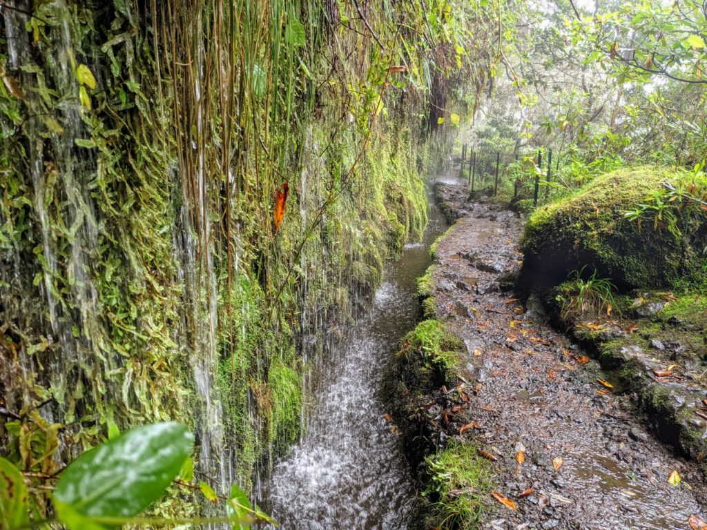 Levada do Caldeirão Verde (PR9) I Tipps für Eure Madeira-Wanderung Levada do Caldeirão Verde (PR9) I Tipps für Eure Madeira-Wanderung