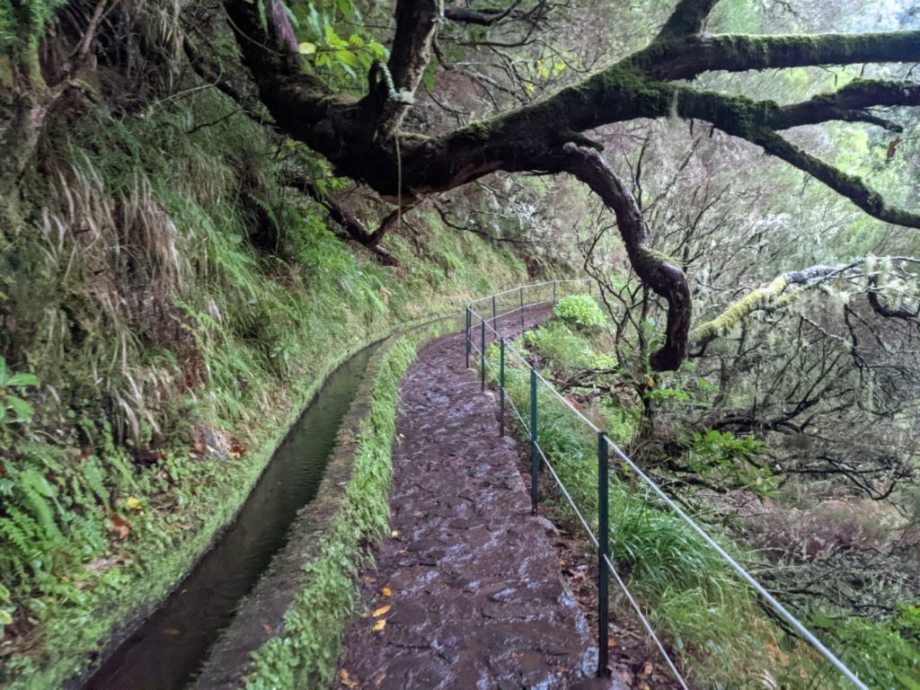 Die 15 besten Tipps für Madeira I Alles Wissenswerte für Euren Urlaub Die 15 besten Tipps für Madeira I Alles Wissenswerte für Euren Urlaub