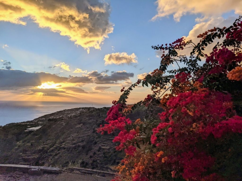 Die 15 besten Tipps für Madeira I Alles Wissenswerte für Euren Urlaub Die 15 besten Tipps für Madeira I Alles Wissenswerte für Euren Urlaub