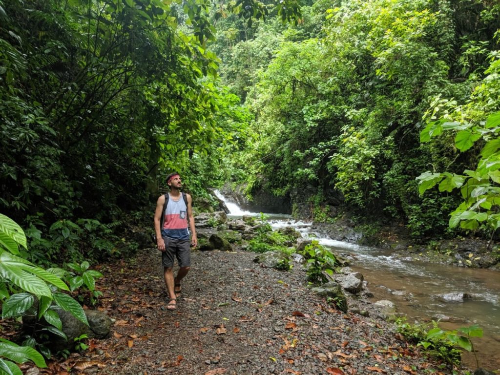 Rainmaker Park Costa Rica I All You Need To Know Rainmaker Park Costa Rica I All You Need To Know