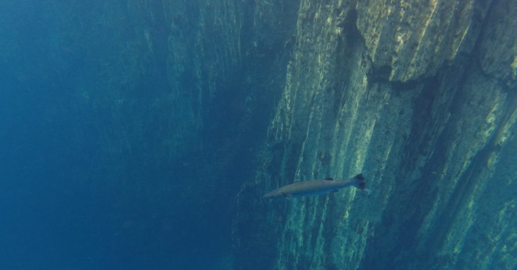 Barracuda Lake Coron | What To Expect Barracuda Lake Coron | What To Expect