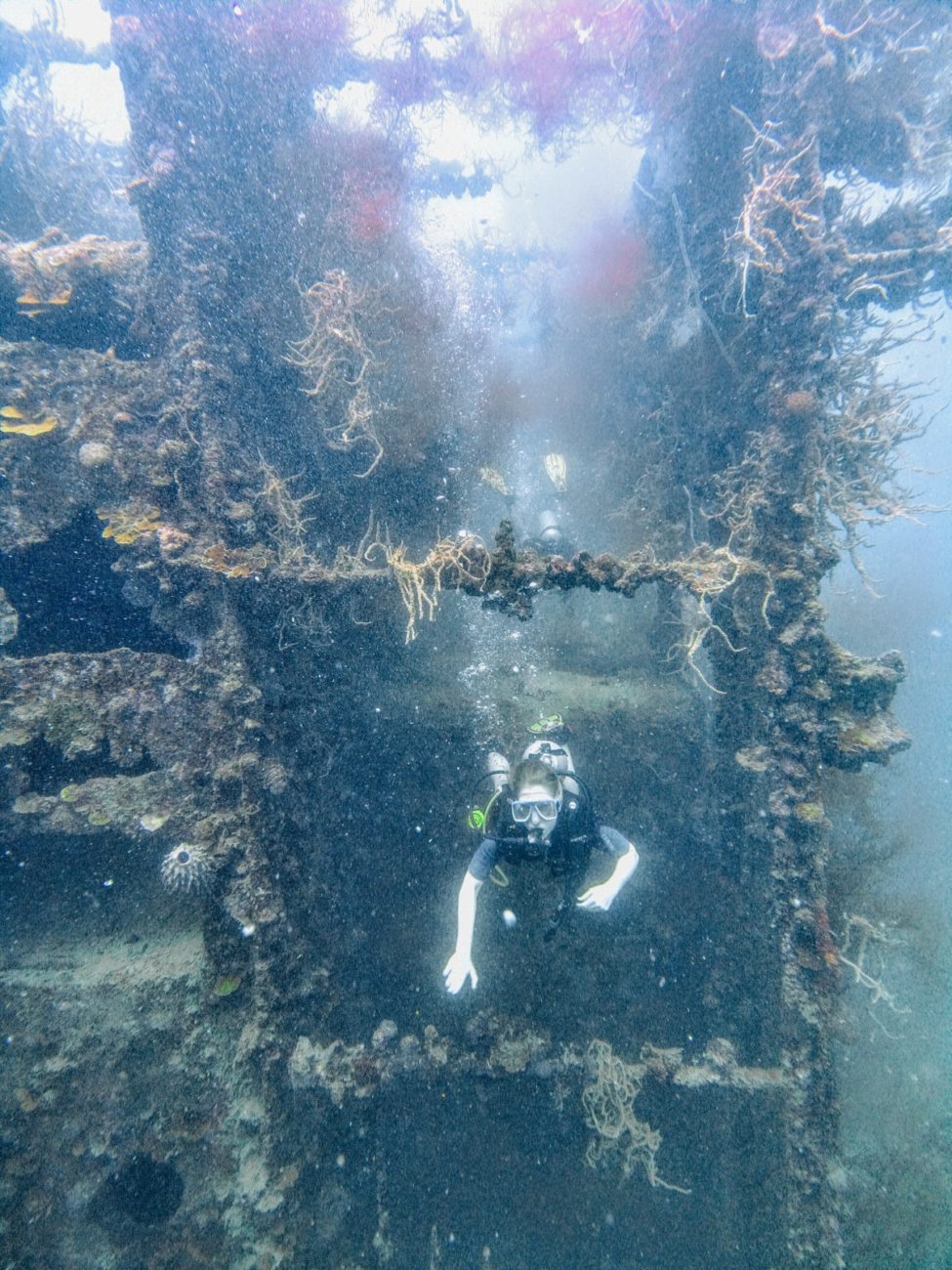 The Ultimate Guide To Wreck Diving Coron