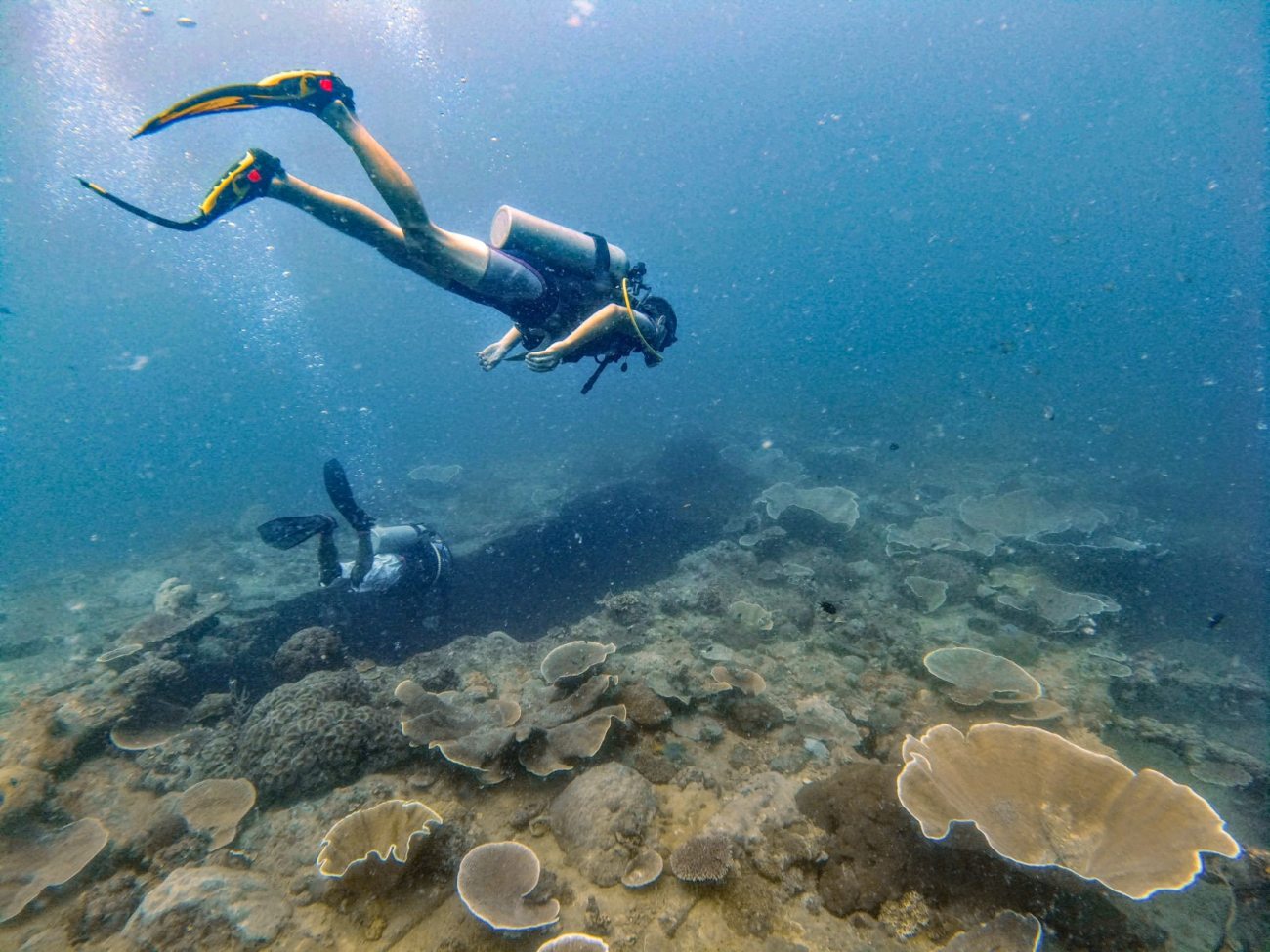 The Ultimate Guide To Wreck Diving Coron