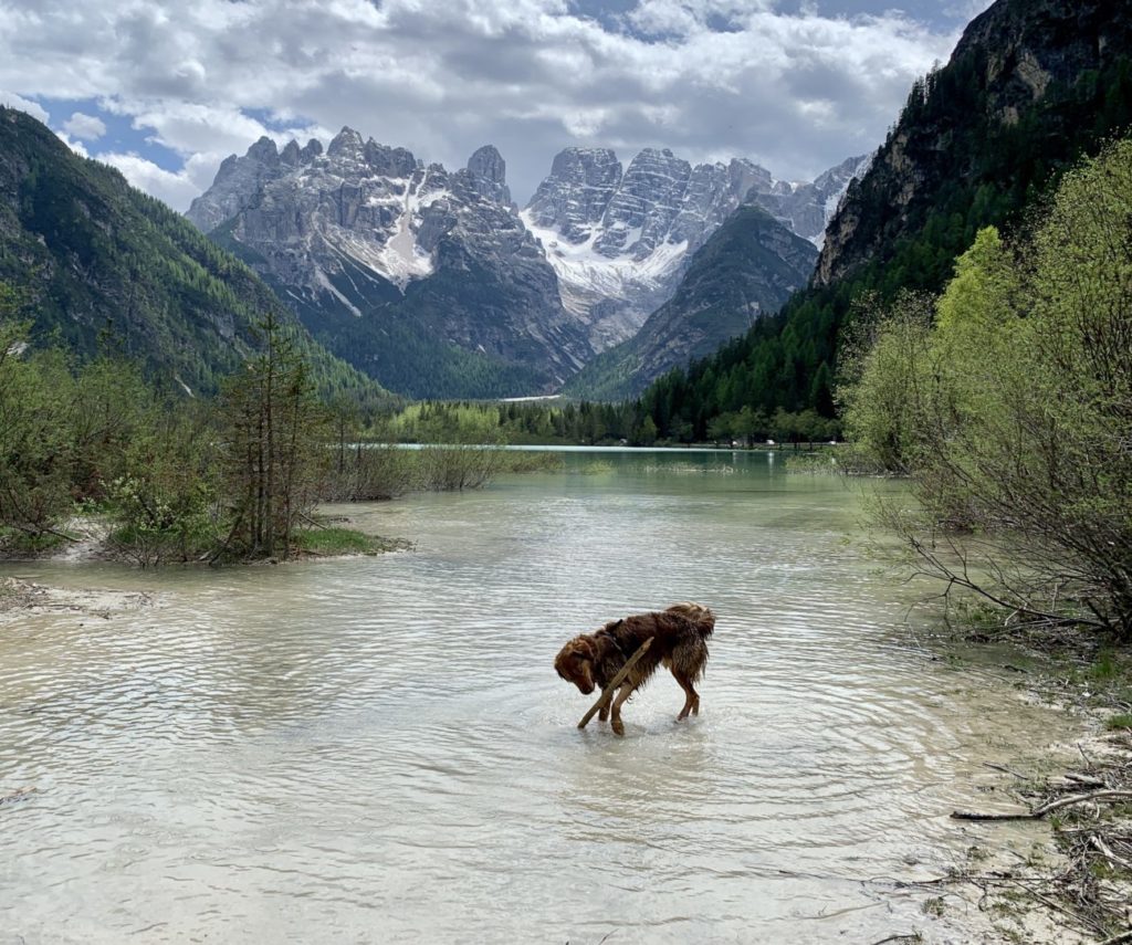 Dürrensee Südtirol | Badesee mit Panoramablick