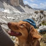 3 Zinnen Wanderung mit Hund