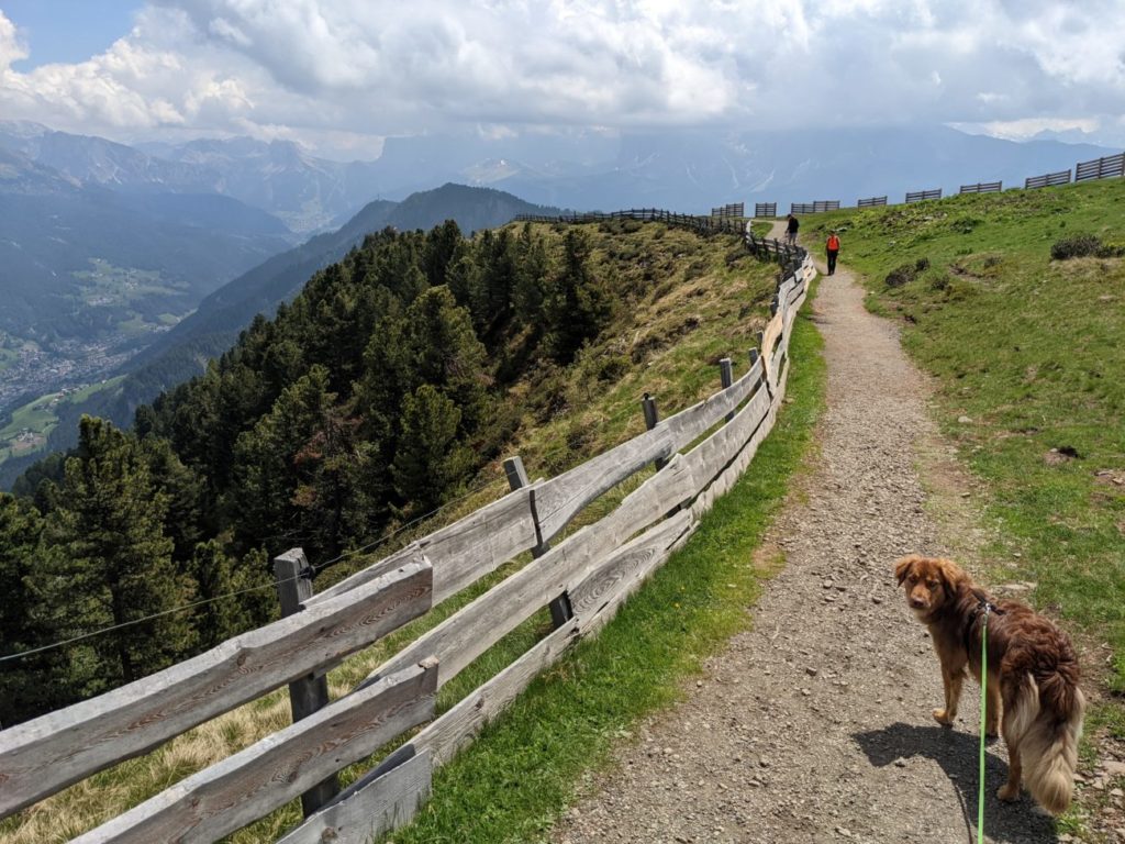 Alpe di Siusi Hike in South Tyrol I Everything you need to know Alpe di Siusi Hike in South Tyrol I Everything you need to know