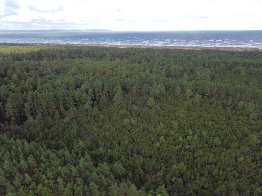 Mellbystrand I Swedens Most Beautiful Beach Mellbystrand I Swedens Most Beautiful Beach