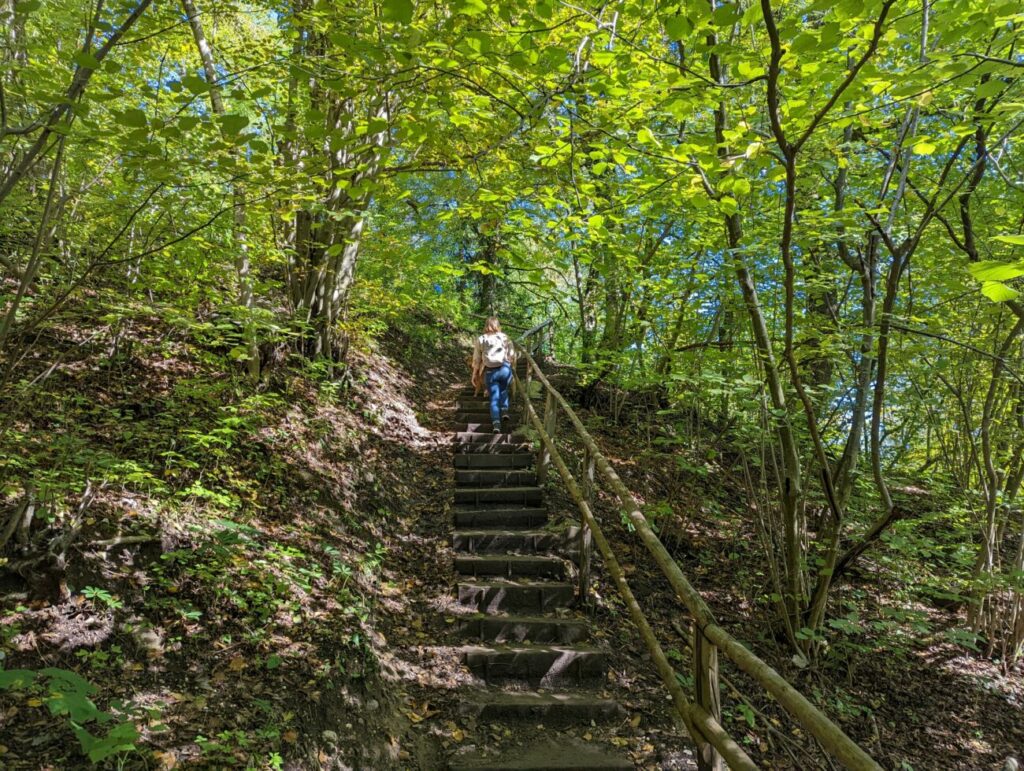 Vintgar Klamm Wanderung in 2025 I Tipps, Parken & Highlights Vintgar Klamm Wanderung in 2025 I Tipps, Parken & Highlights