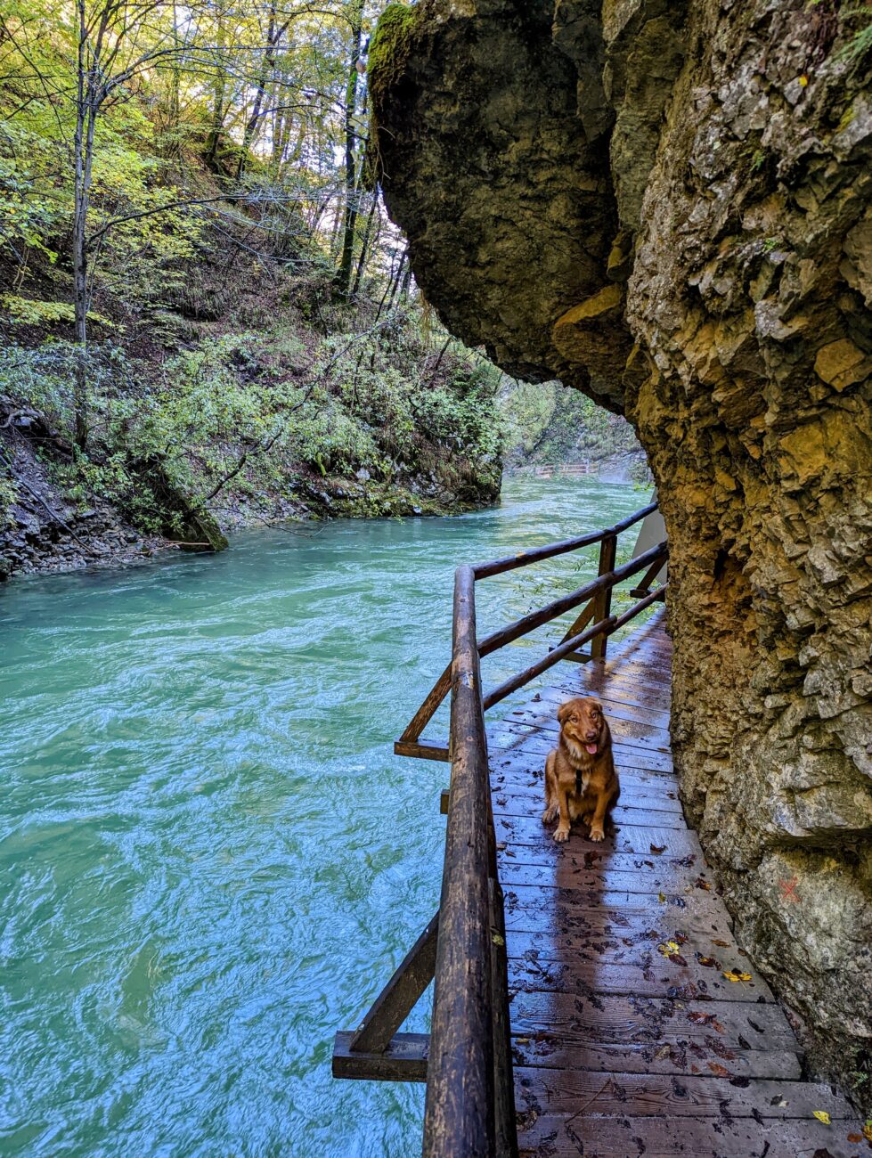 Vintgar Klamm Wanderung 2024 I Tipps, Parken & Highlights