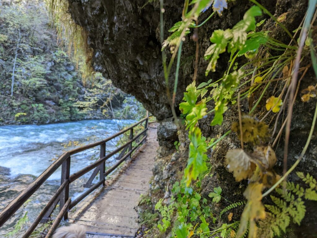 Vintgar Klamm Wanderung in 2025 I Tipps, Parken & Highlights Vintgar Klamm Wanderung in 2025 I Tipps, Parken & Highlights