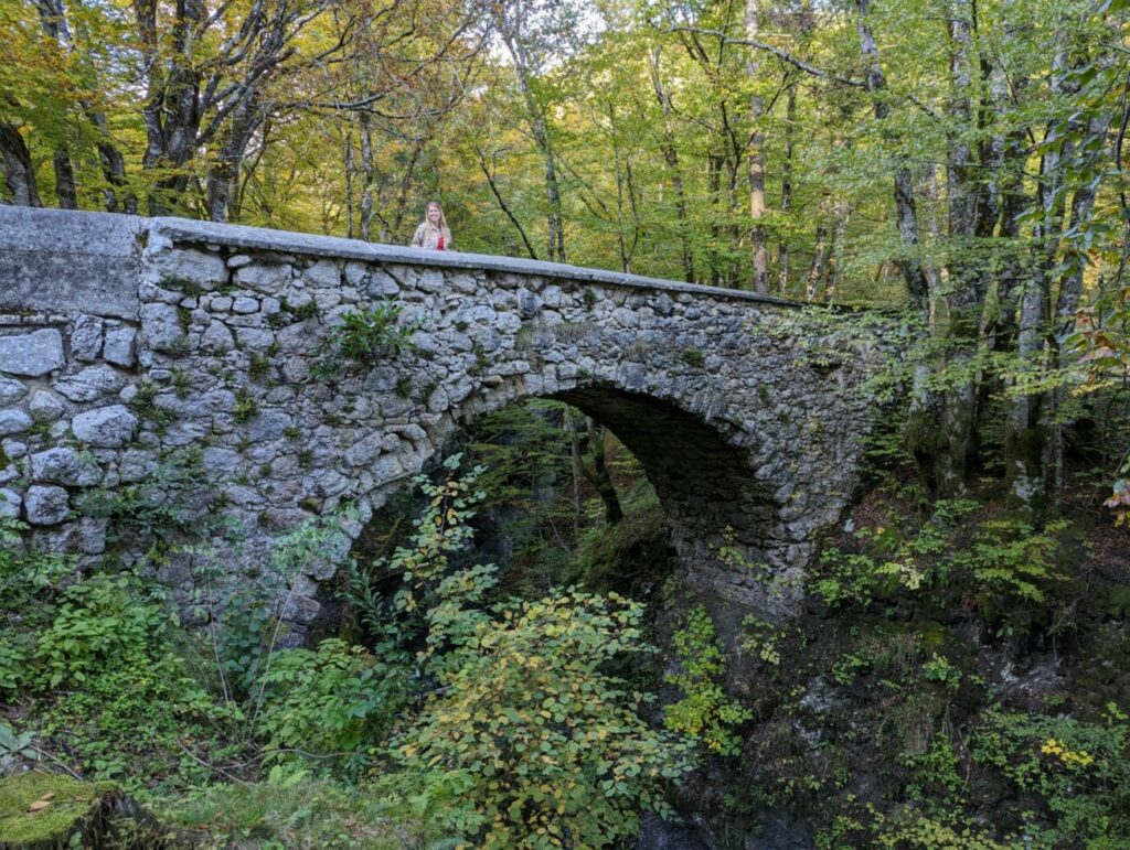 Mostnica Schlucht I Wander-Highlight am Bohinj See Mostnica Schlucht I Wander-Highlight am Bohinj See