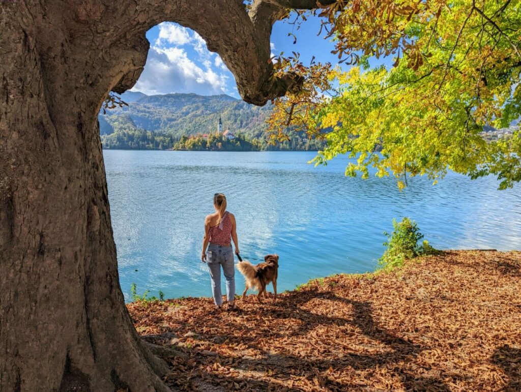 Lake Bled Slovenia | The 7 Best Things To Do Lake Bled Slovenia | The 7 Best Things To Do