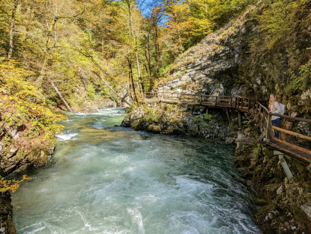 Vintgar Klamm Wanderung in 2025 I Tipps, Parken & Highlights Vintgar Klamm Wanderung in 2025 I Tipps, Parken & Highlights
