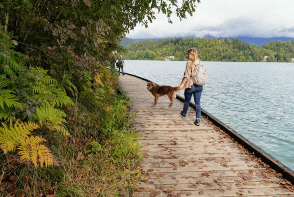 Lake Bled Slovenia | The 7 Best Things To Do Lake Bled Slovenia | The 7 Best Things To Do