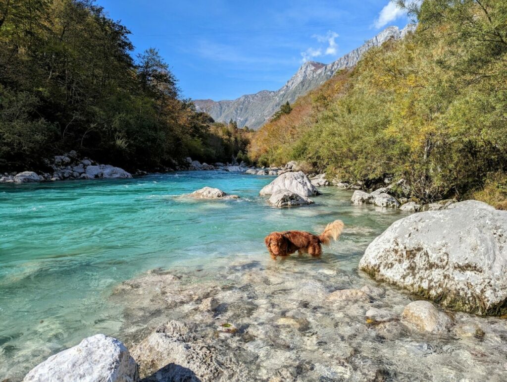 Triglav Nationalpark I Die 12 schönsten Highlights + Reisetipps Triglav Nationalpark I Die 12 schönsten Highlights + Reisetipps