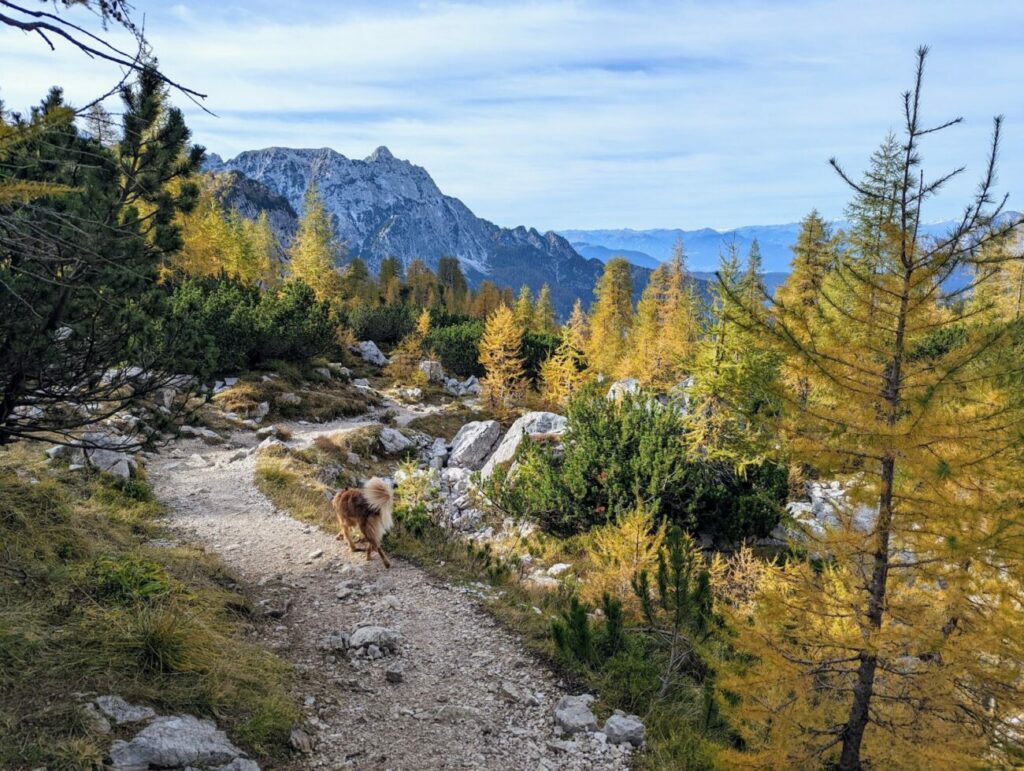 Vršič-Pass I Was Euch erwartet am höchsten Pass Sloweniens