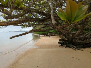 Kauai Hawaii - Die 6 BESTEN Sehenswürdigkeiten & Reisetipps Kauai Hawaii - Die 6 BESTEN Sehenswürdigkeiten & Reisetipps