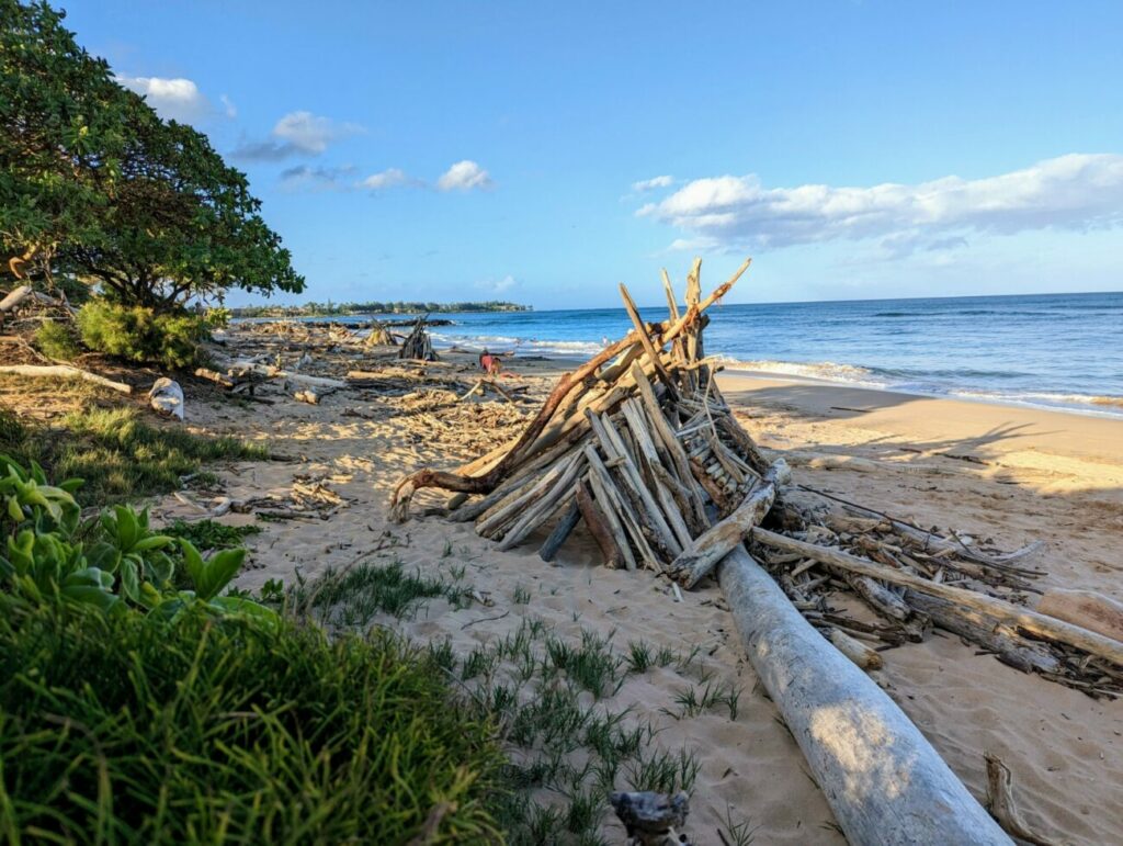 Kauai Hawaii - Die 6 BESTEN Sehenswürdigkeiten & Reisetipps Lydgate Beach Park