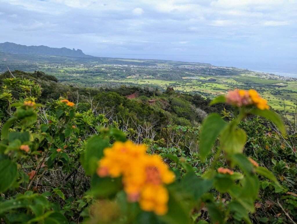 The 6 Best Hikes on Kauai Hawaii The 6 Best Hikes on Kauai Hawaii