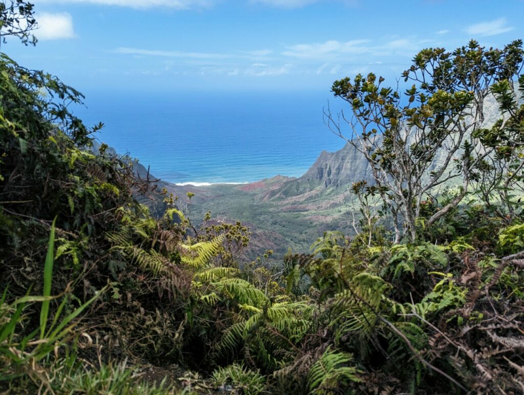 Waimea Canyon Kauai | Alle Infos für Euren Besuch Waimea Canyon Kauai | Alle Infos für Euren Besuch