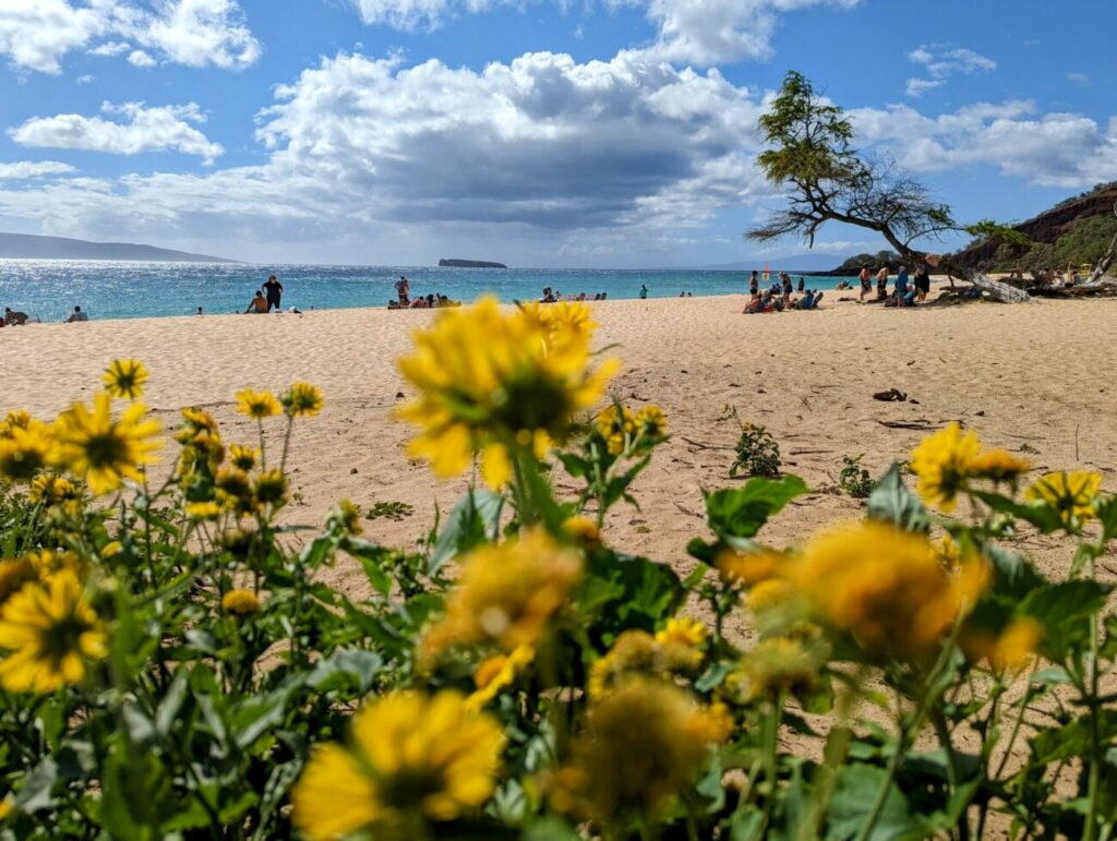 Maui Sehenswürdigkeiten | Die BESTEN Highlights & Reisetipps Maui Sehenswürdigkeiten | Die BESTEN Highlights & Reisetipps