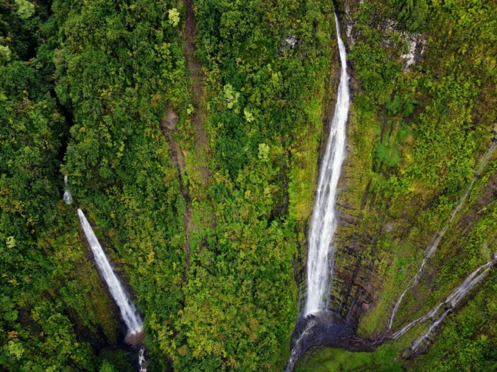 Pipiwai Trail Wanderung Maui | Lohnt es sich? Pipiwai Trail Wanderung Maui | Lohnt es sich?