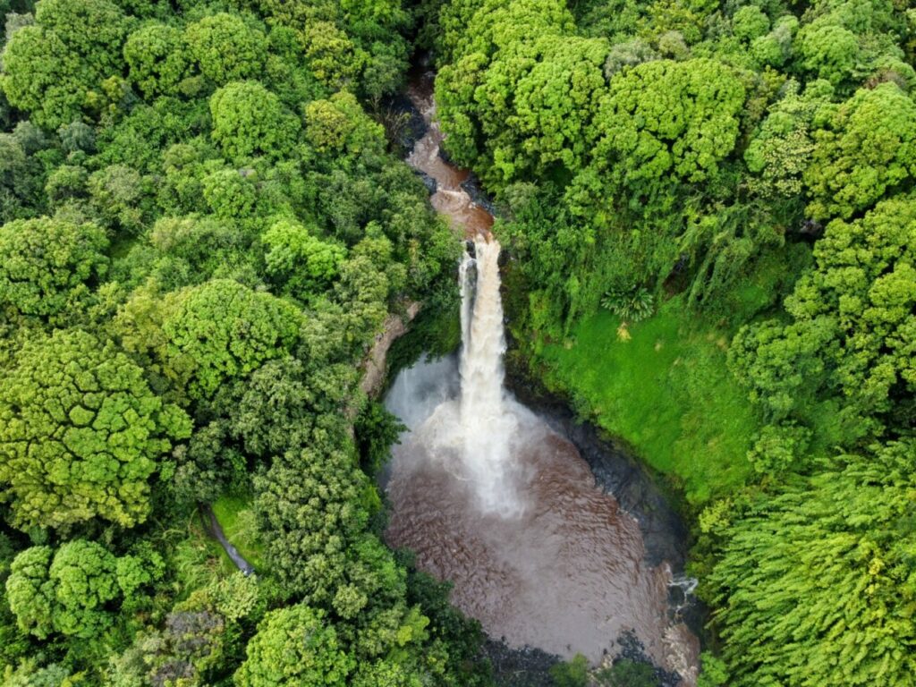 Road to Hana auf Maui I Die 10 schönsten Sehenswürdigkeiten Road to Hana auf Maui I Die 10 schönsten Sehenswürdigkeiten