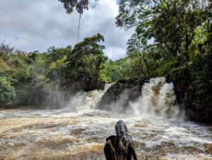 Road to Hana auf Maui I Die 10 schönsten Sehenswürdigkeiten Road to Hana auf Maui I Die 10 schönsten Sehenswürdigkeiten