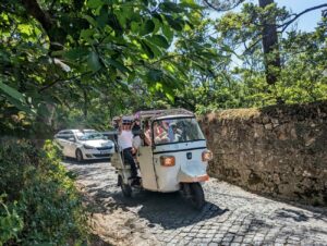 Sintra Sehenswürdigkeiten | 5 tolle Highlights, die ihr Euch ansehen müsst Sintra Sehenswürdigkeiten | 5 tolle Highlights, die ihr Euch ansehen müsst