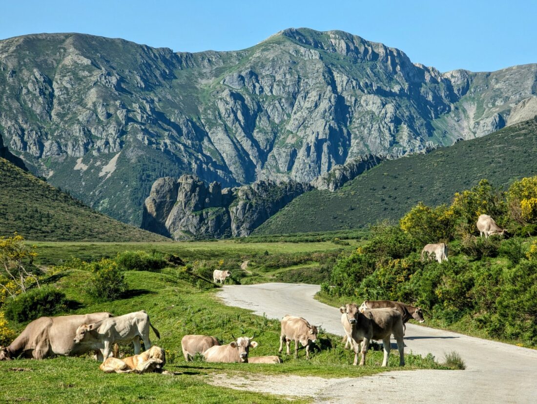 Picos De Europa 6 phantastische Highlights, die ihr Euch ansehen müsst