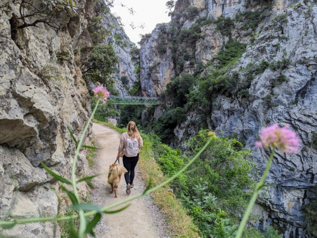 Ruta del Cares Spain | All You Need To Know