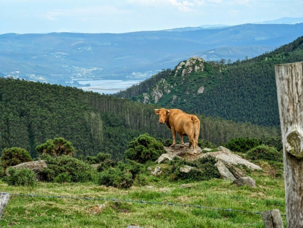 Nordspanien Sehenswürdigkeiten | Top 9 Schönste Orte an Nordspaniens Küste