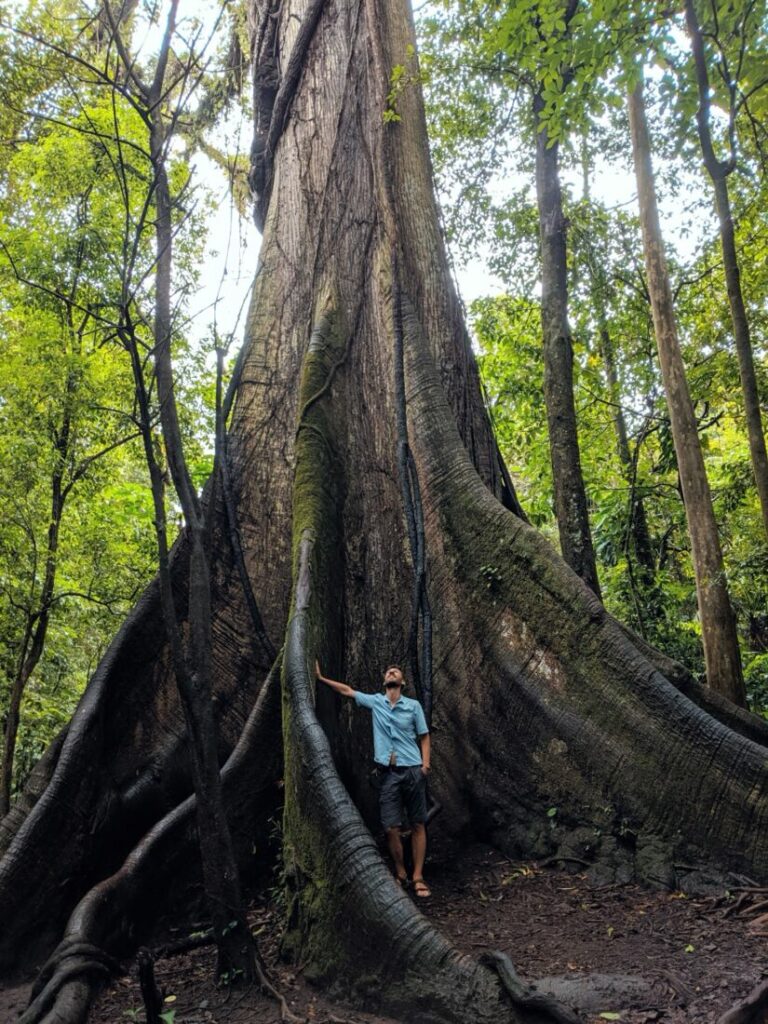 Costa Rica La Fortuna | Anreise, Sehenswürdigkeiten & Tipps Costa Rica La Fortuna - Arenal Nationalpark