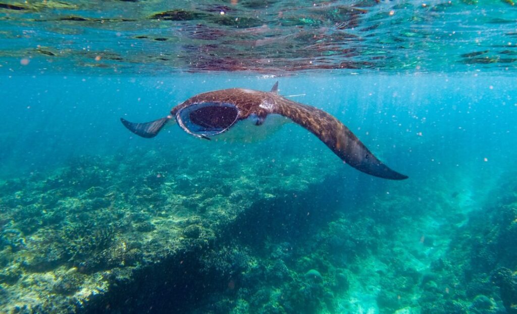 Ukulhas - The Best Local Island on the Maldives Ukulhas - The Best Local Island on the Maldives